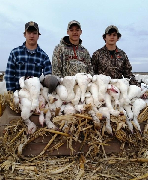 Guided Snow Goose Hunts in South Dakota 
