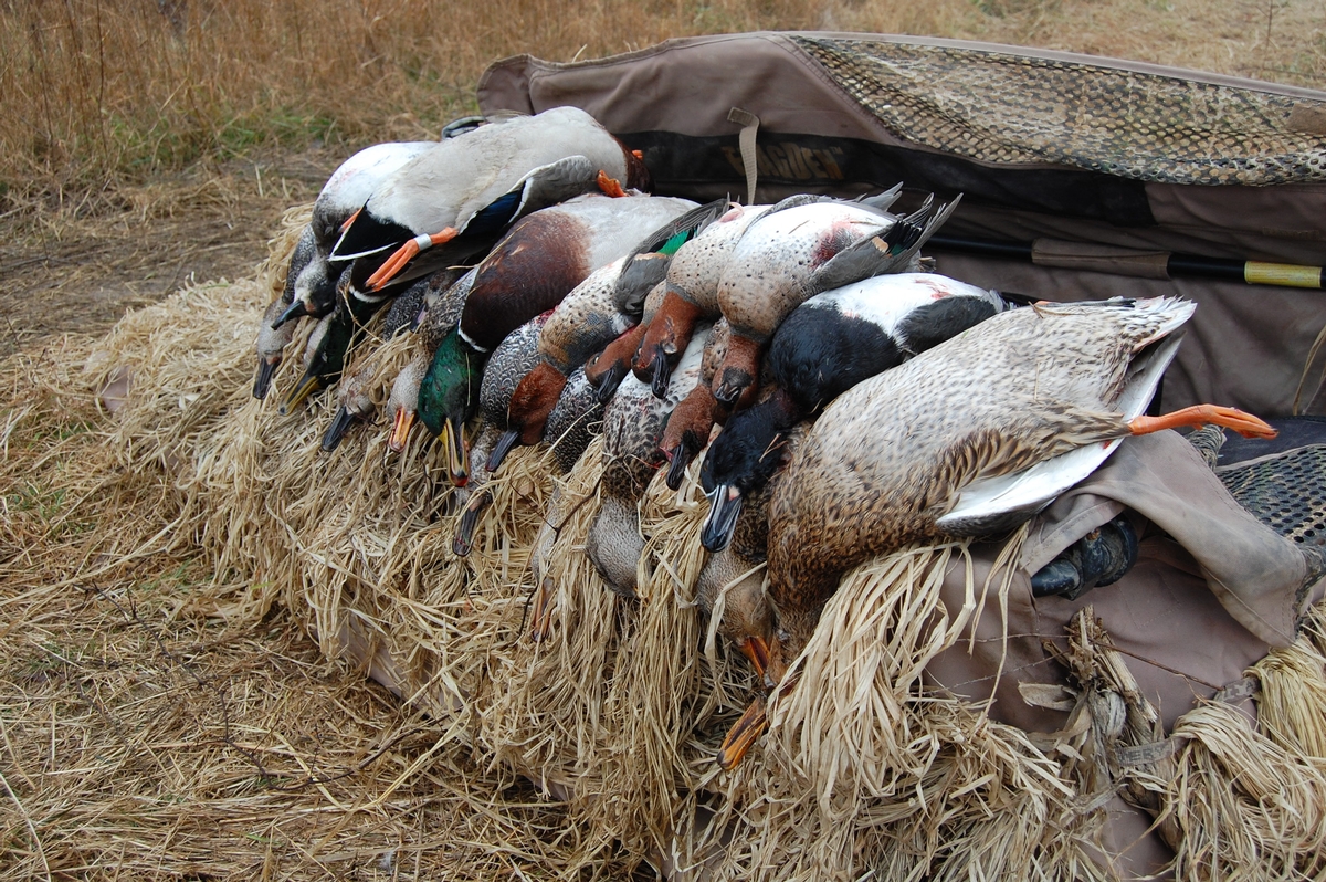 Duck Hunting Rates