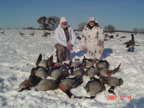 Fergus Falls Goose unts