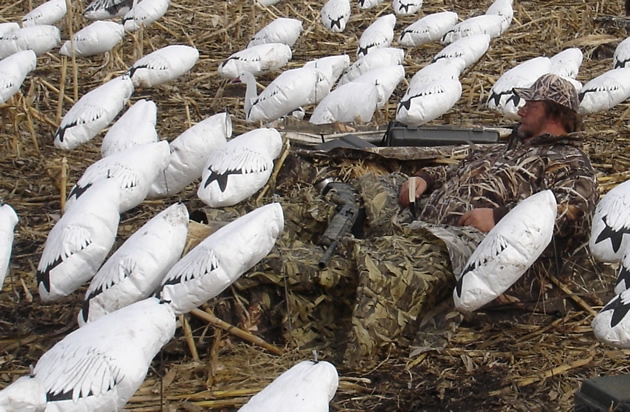 Babe Winkelman Snow Goose Hunting