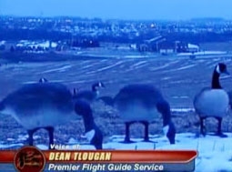 Babe Winkleman Goose Hunts With Premier Flight Guide Service