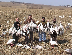 Spring Snow Goose Hunting