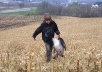 Fall Goose Hunts