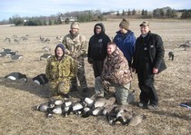 11/20/10 -- A nice round of geese from the West side of town.
