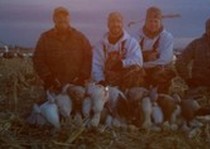 Fall Goose Hunts