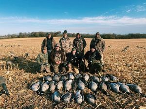 Fall Goose - 2020