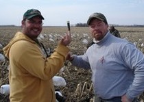 Snow Goose Hunts