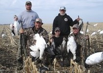 Snow Goose Hunts