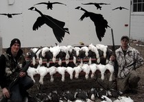 Snow Goose Hunts
