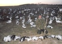 Snow Goose Hunts