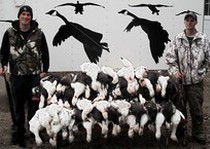 Snow Goose Hunts